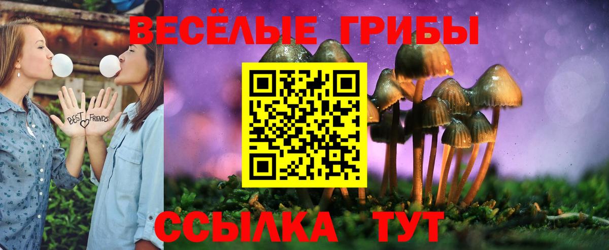 Белгород  Галлюциногенные грибы ЛСД  Галлюциногенные грибы мухоморы  Вход с VPN 